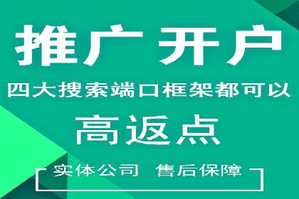 竞价SEM托管案例：精准营销的利器